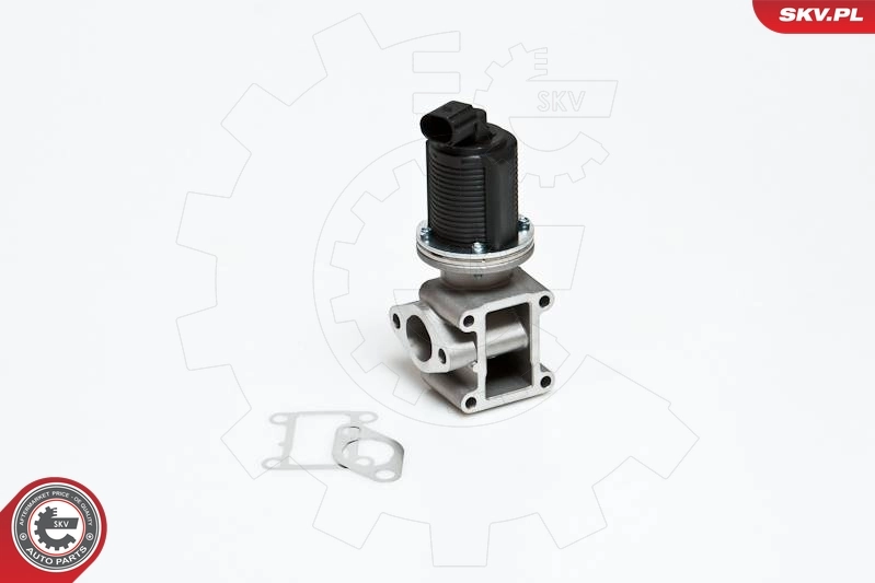 EGR Valve
